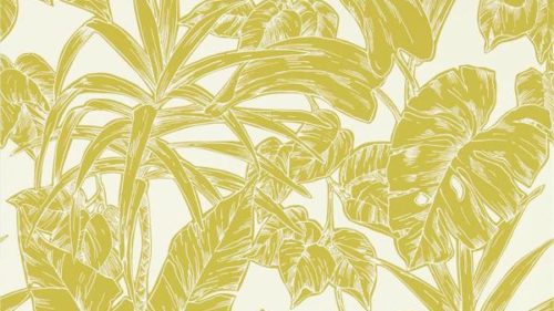 Parlour Palm 112022